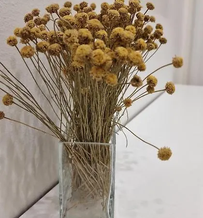 El Mirador De Blanca - Pegado Al Nautico - 2-4 Pax - Vut-3979-as Lejlighed